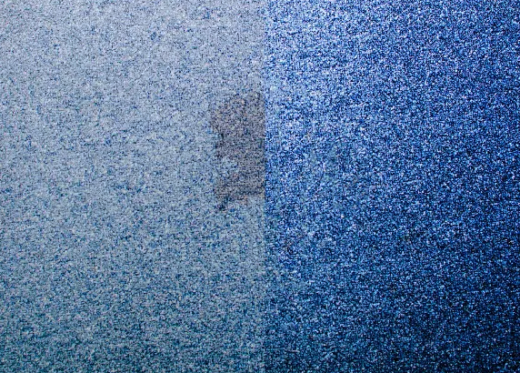 Deep carpet cleaning in progress on a blue carpet in HRM, showing cleaned and uncleaned areas